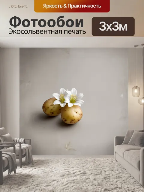 Фотообои изящные картофельные цветы