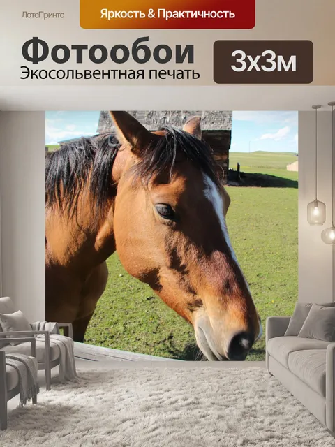 Фотообои Коричневая лошадь