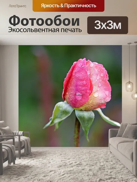 Фотообои Осенние розы