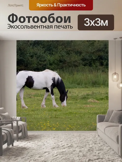 Фотообои Лошадь