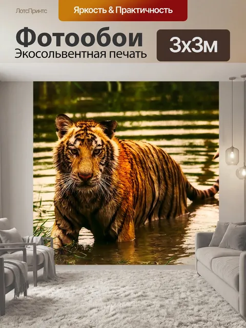 Фотообои Тигр