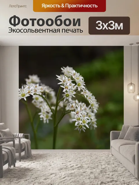 Фотообои Уайлдфлауэр