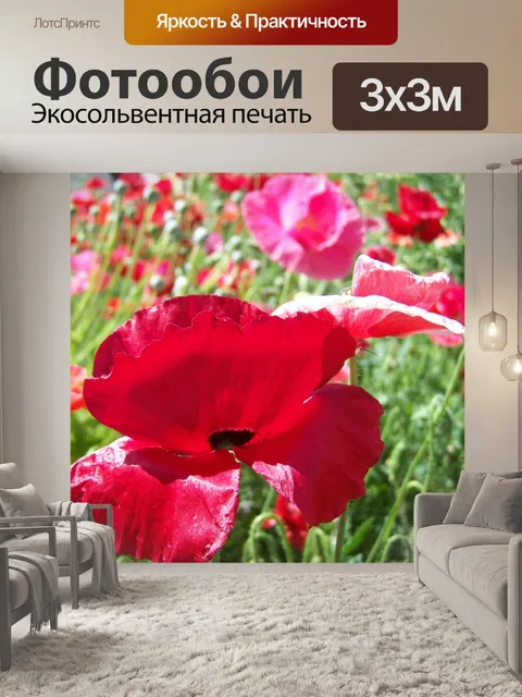 Фотообои Цветок мака