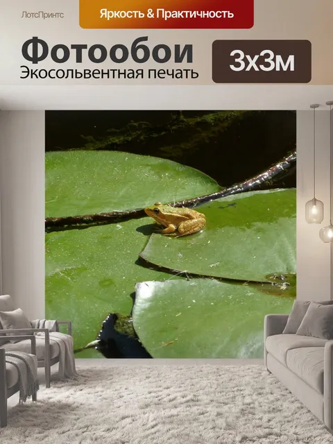 Фотообои Лягушка