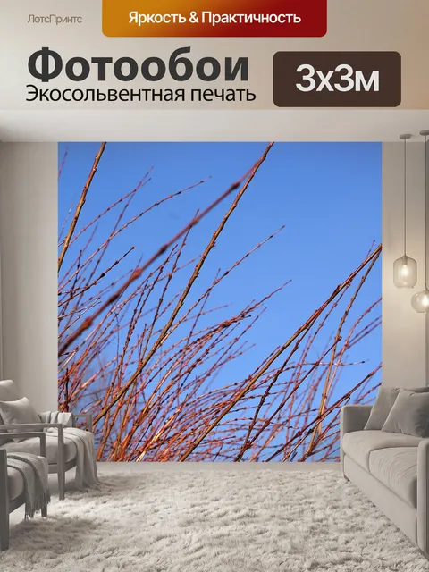 Фотообои Филиалы