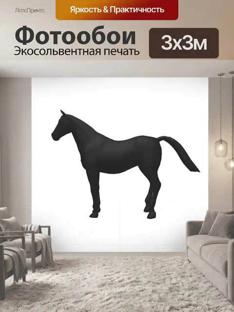 Фотообои Силуэт лошади