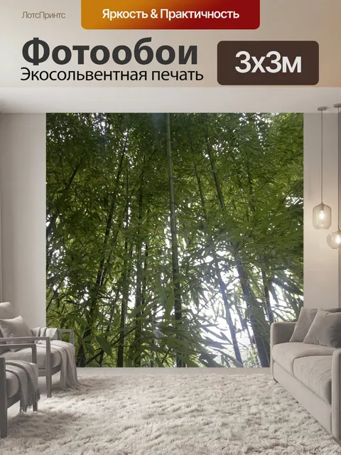 Фотообои Бамбук - Bambuseae