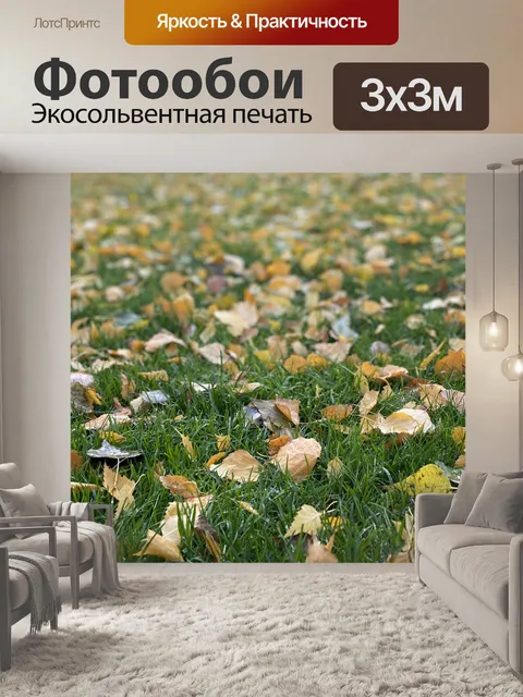 Фотообои Падение