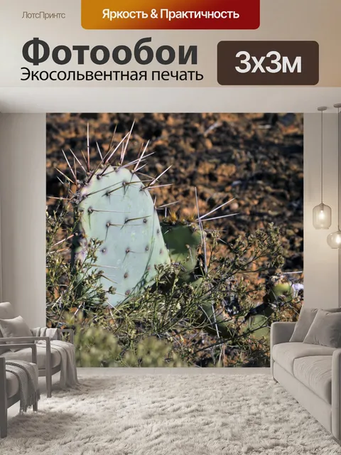 Фотообои Груша Кактусы