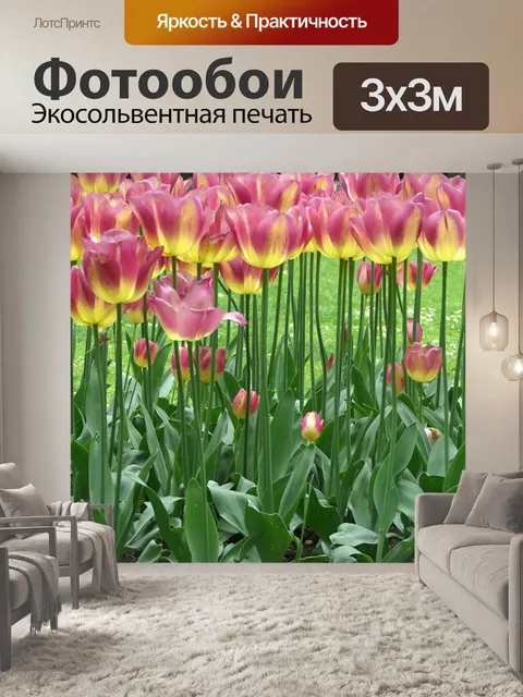 Фотообои Тюльпаны