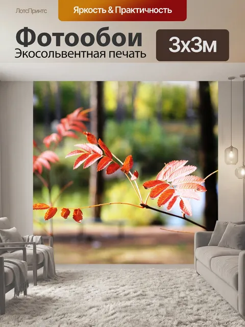 Фотообои Осень
