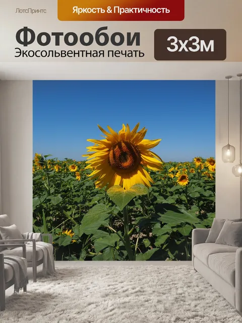 Фотообои Подсолнух