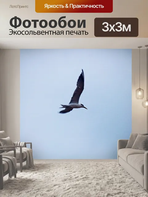 Фотообои расправить крылья летающей крачки