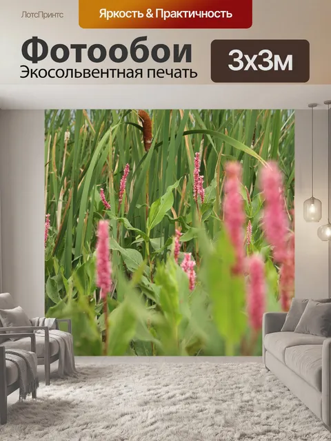 Фотообои Марш Фиолетовый цветок Cattails