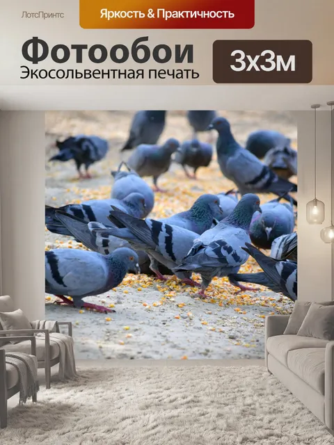 Фотообои Кормление голубей 1