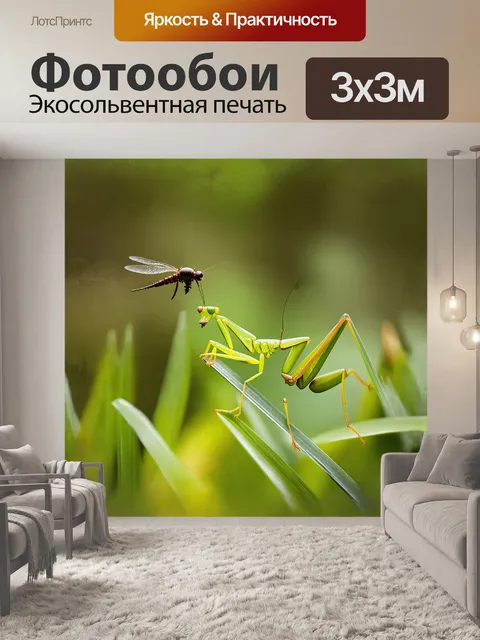 Фотообои на тонком стебле травы сидит зеленый богомол, готовящийся к атаке на пролетающую мимо муху