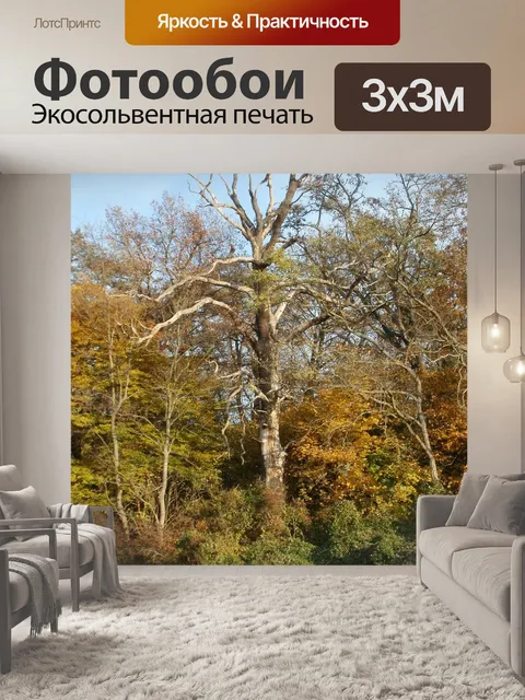Фотообои Старый