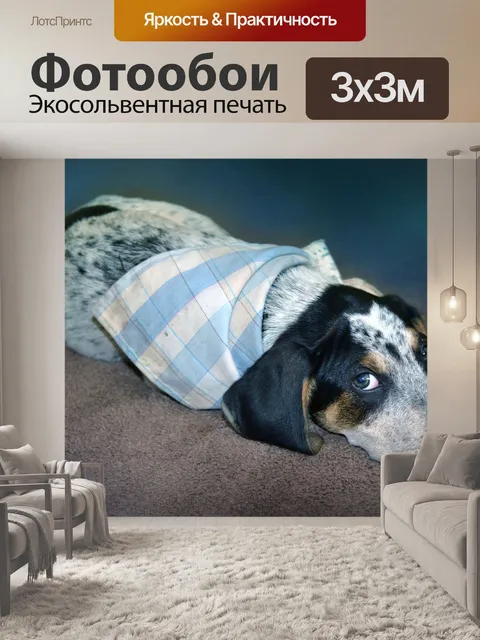 Фотообои Щенок