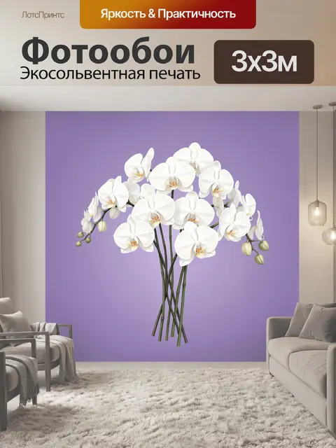 Фотообои Букет белых орхидей на сиреневом фоне