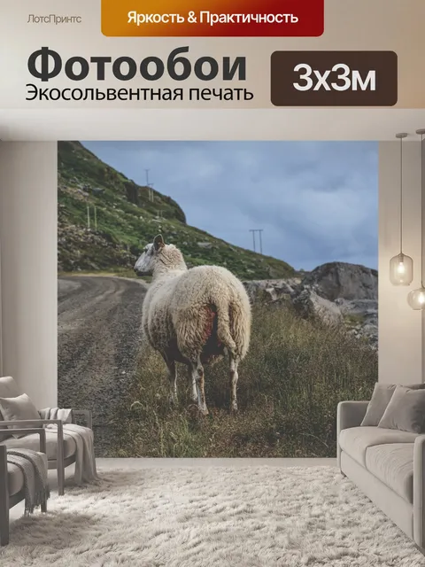 Фотообои Овцы среди гор