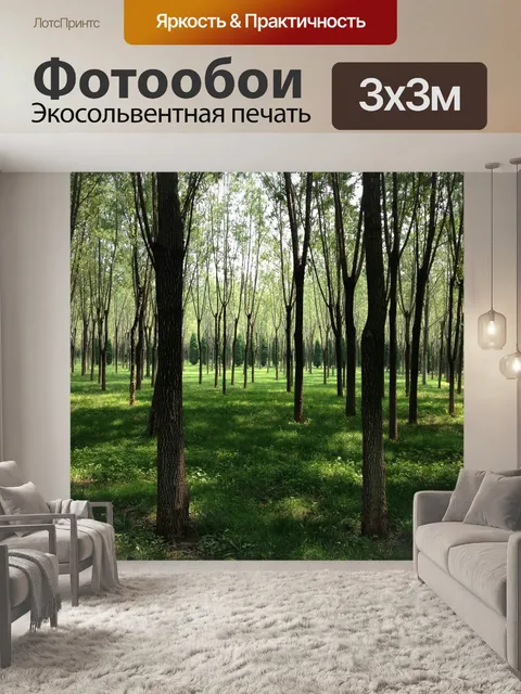 Фотообои Лес