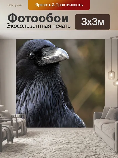 Фотообои Ворон птица