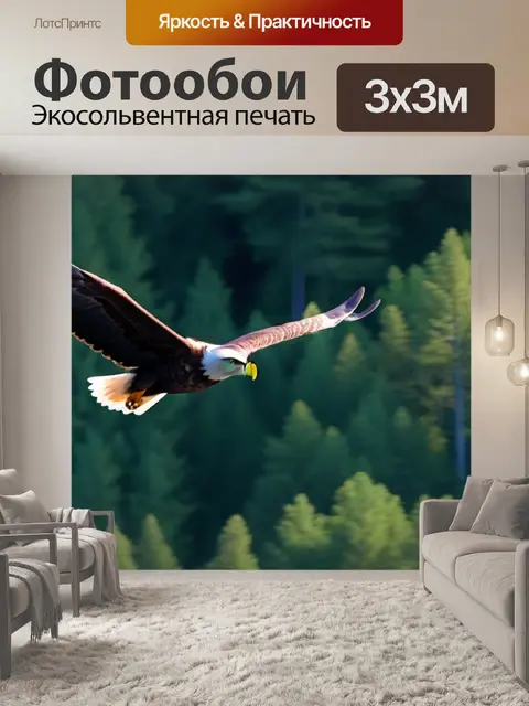 Фотообои хищный орел, парящий над деревьями