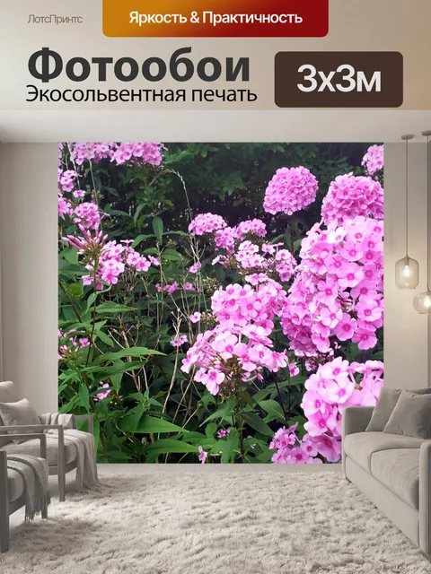 Фотообои Красивые розовые цветы 1