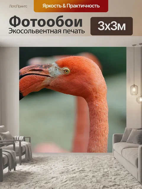 Фотообои Фламинго