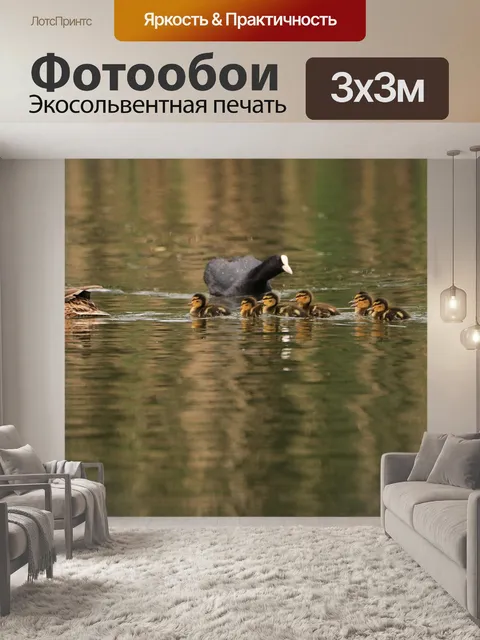 Фотообои Озеро