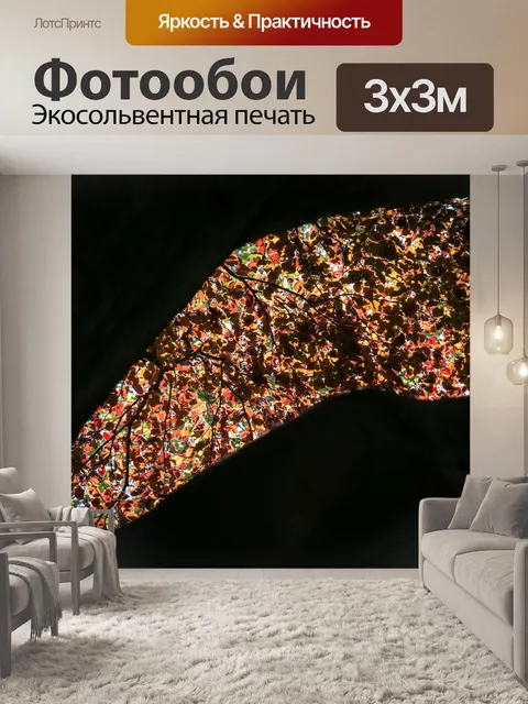 Фотообои Кровавый бук
