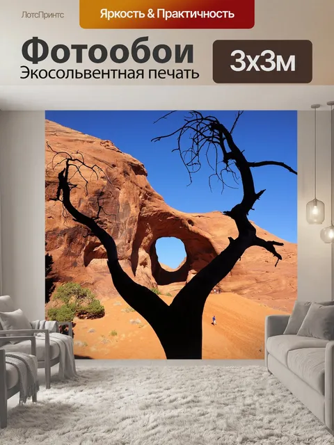 Фотообои Арки