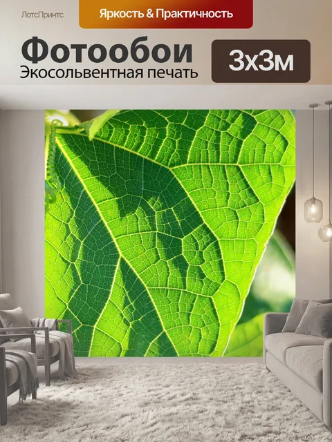 Фотообои мелкие детали на листе для игры в сквош