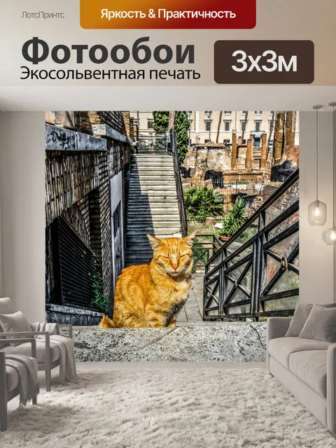 Фотообои Римская кошка