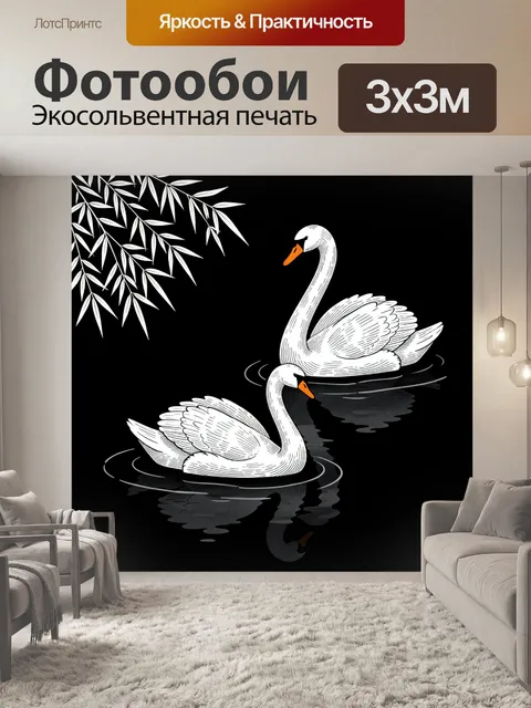 Фотообои Два белых лебедя на воде