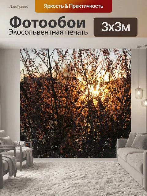 Фотообои Сорняки