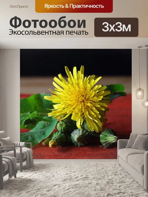 Фотообои ярко-желтый цветок одуванчика