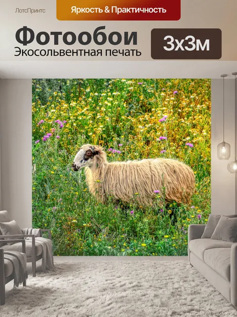 Фотообои Овец