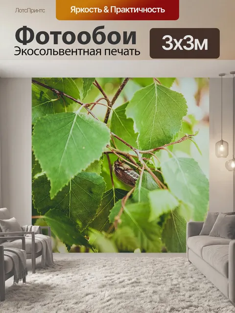 Фотообои Жук
