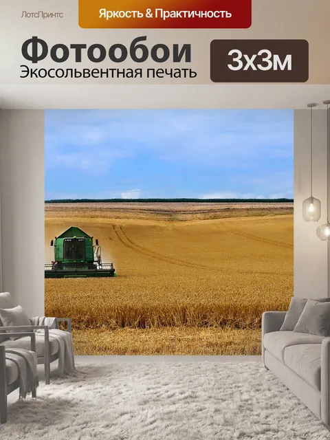 Фотообои Wheat