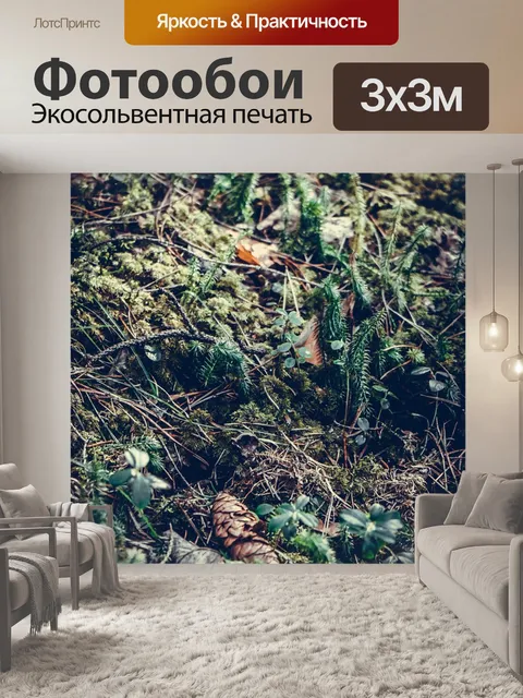 Фотообои Лес