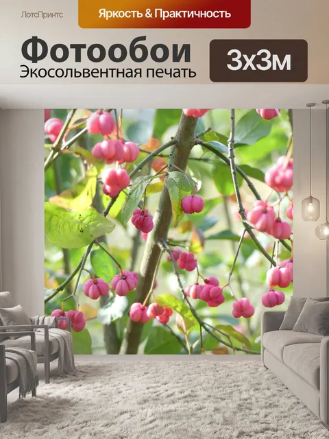 Фотообои Декоративный кустарник