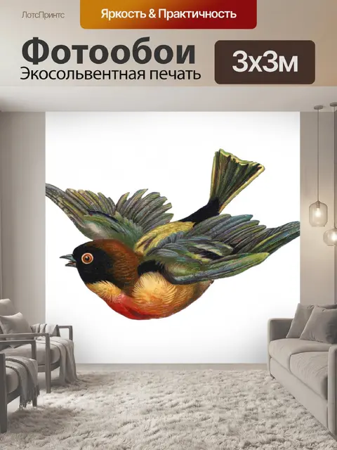 Фотообои Иллюстрация винтажного искусства птиц