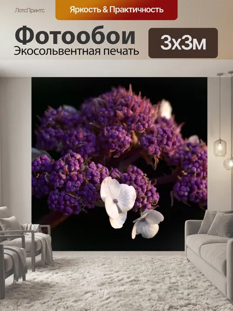 Фотообои Гортензия