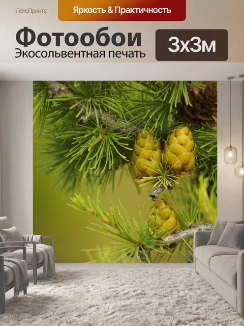 Фотообои Кедр