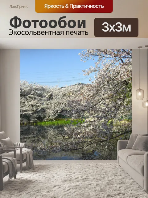 Фотообои Сакура Японии
