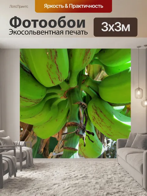 Фотообои бананы на дереве