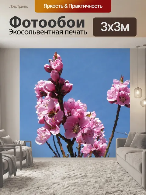 Фотообои Цветок