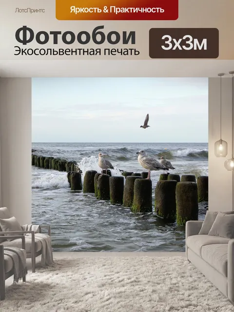 Фотообои Чайка