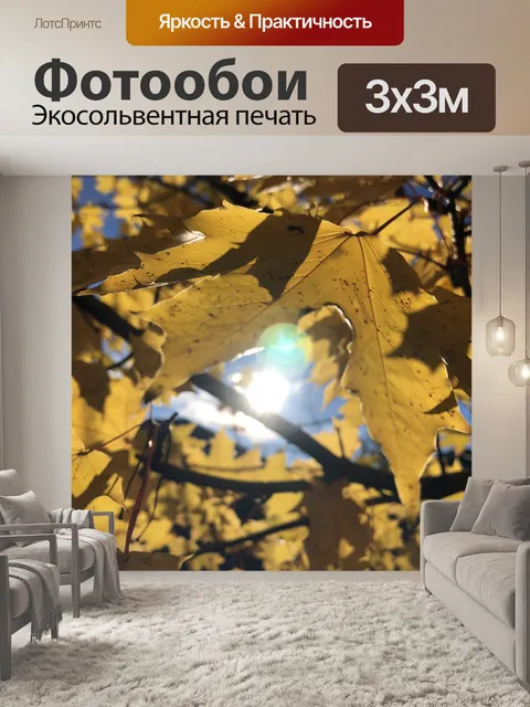 Фотообои Клен